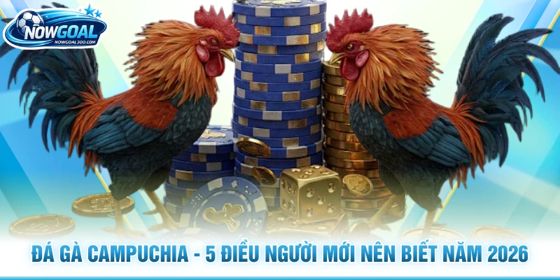 Đá Gà Campuchia - 5 Điều Người Mới Nên Biết Năm 2026