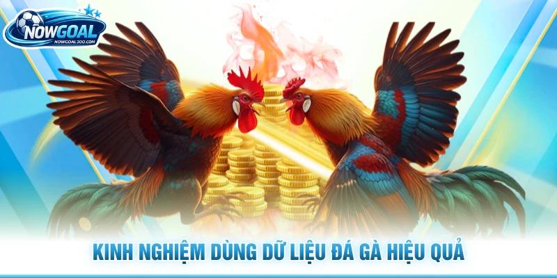 Kinh nghiệm dùng dữ liệu đá gà hiệu quả
