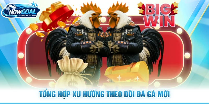Tổng hợp xu hướng theo dõi đá gà mới